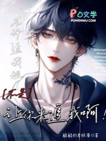 不许追我姐,不是让你来追我啊