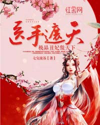 医手遮天:极品丑妃傲天下