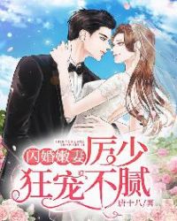 闪婚嫩妻:厉少狂宠不腻