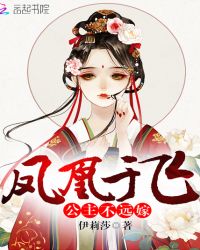凤凰于飞:公主不远嫁
