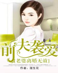 前夫袭爱:老婆离婚无效