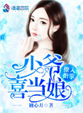 撩入指掌:少爷喜当娘